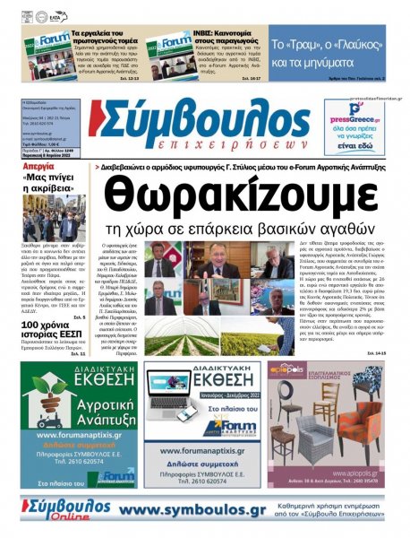 Σύμβουλος Επιχειρήσεων