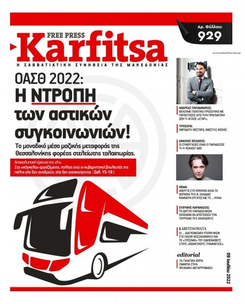 Καρφίτσα