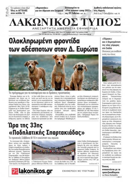 Λακωνικός Τύπος