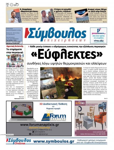 Σύμβουλος Επιχειρήσεων