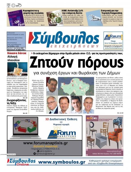 Σύμβουλος Επιχειρήσεων