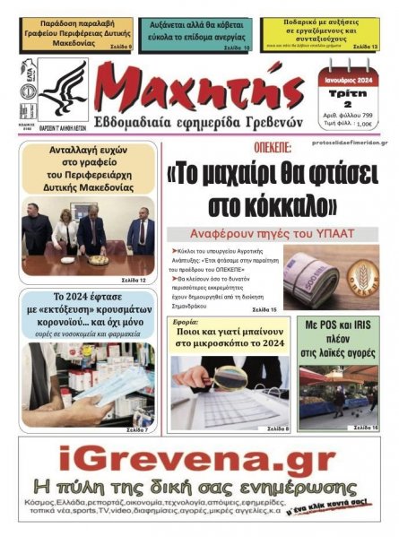 Μαχητής Γρεβενών