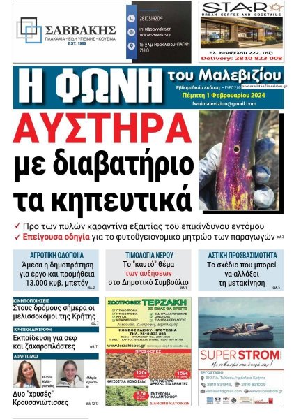 Η Φωνή του Μαλεβιζίου