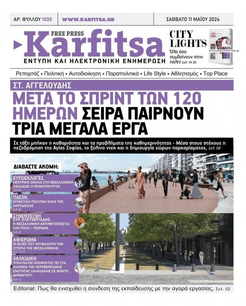 Καρφίτσα