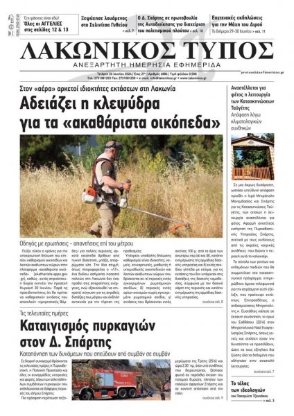 Λακωνικός Τύπος