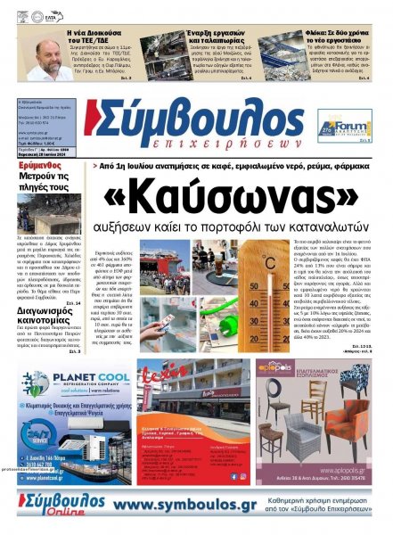 Σύμβουλος Επιχειρήσεων