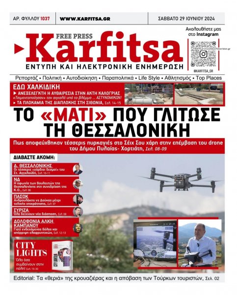 Καρφίτσα