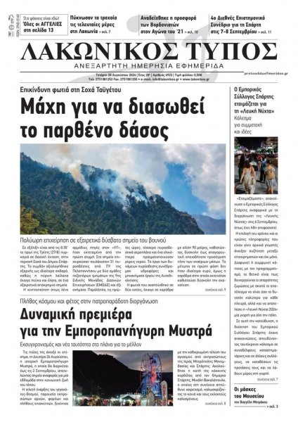 Λακωνικός Τύπος
