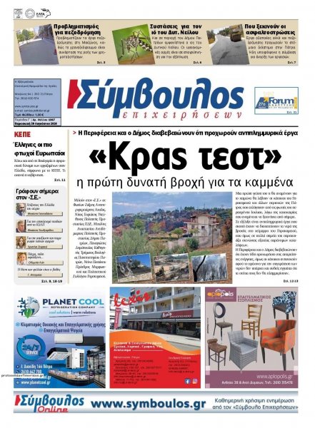 Σύμβουλος Επιχειρήσεων