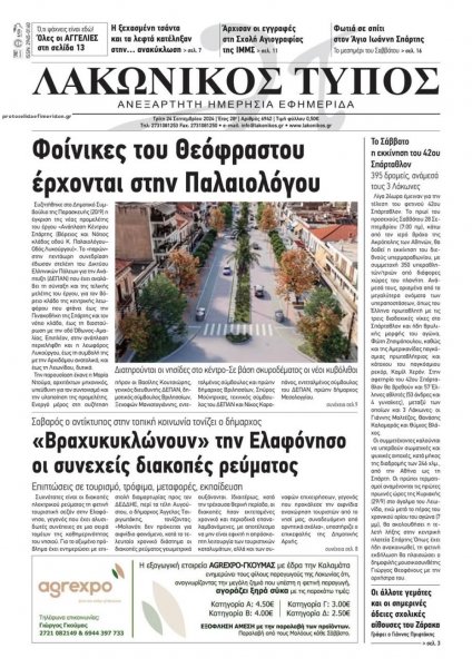 Λακωνικός Τύπος