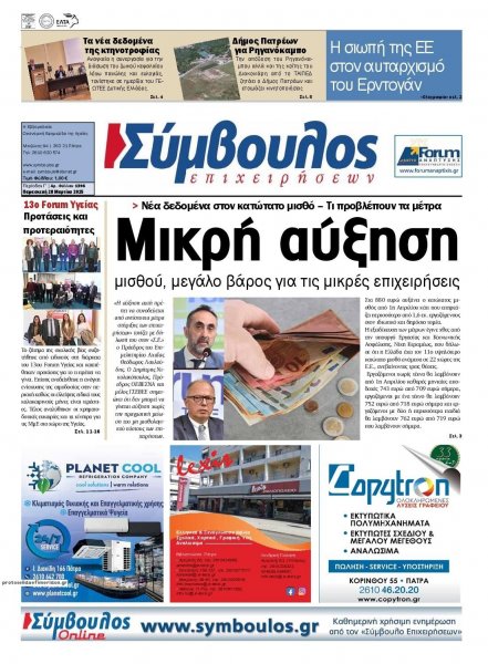 Σύμβουλος Επιχειρήσεων