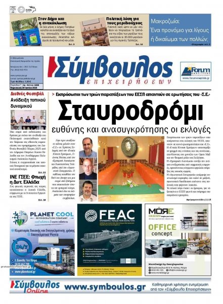 Σύμβουλος Επιχειρήσεων