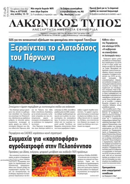 Λακωνικός Τύπος